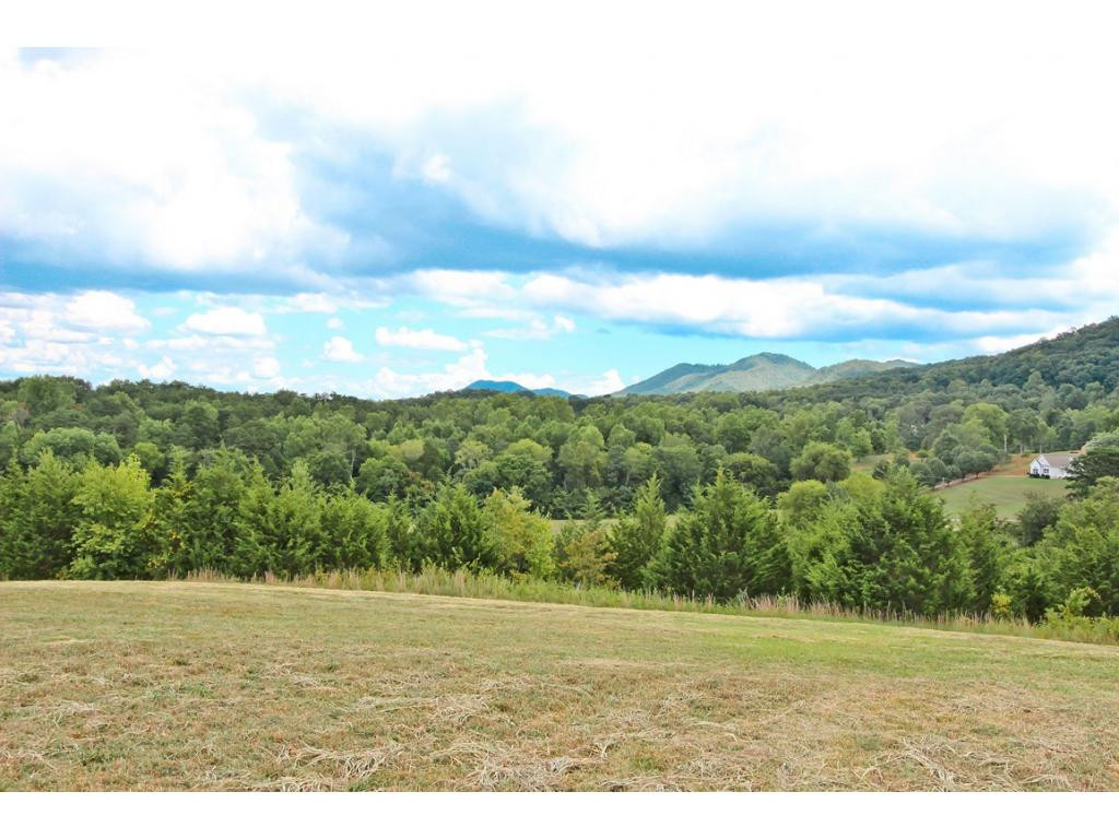 Lot 6 Amaryllis Road, Unit 6 Newport, TN 37821 - Photo 3 of 18 Photo 3
