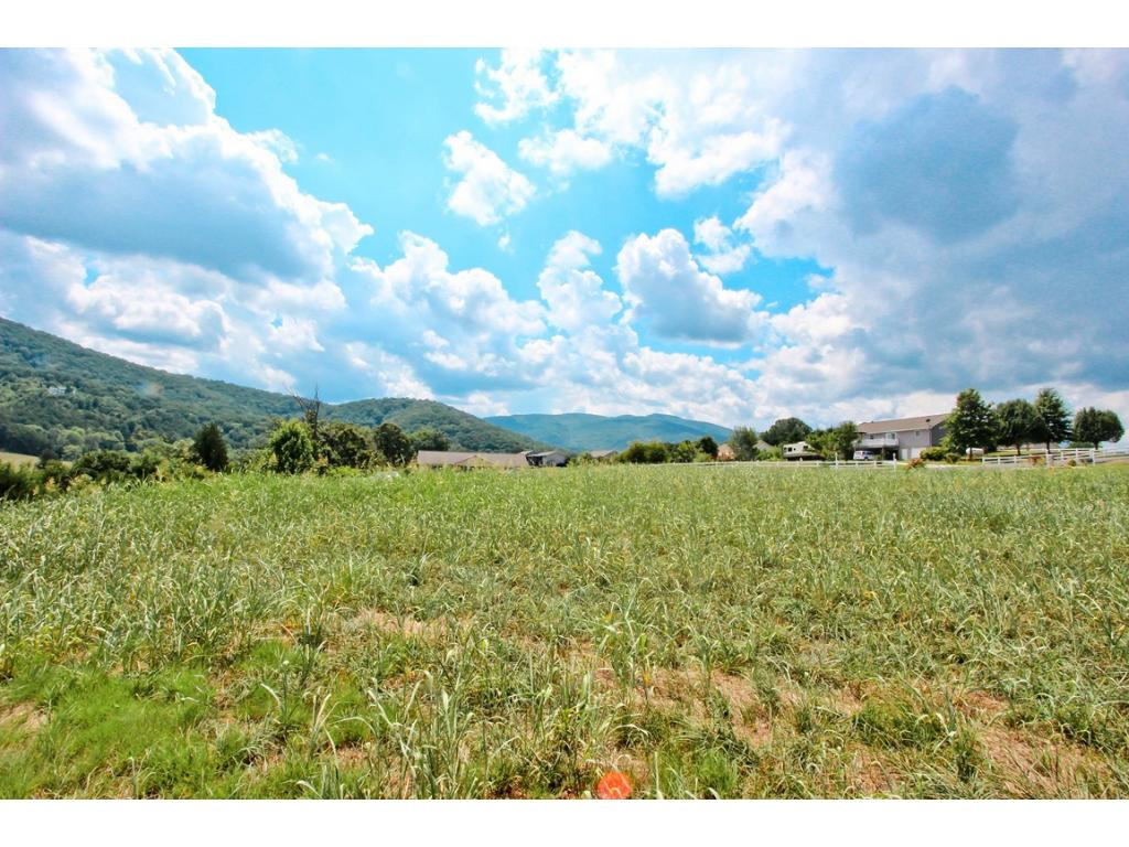 Lot 6 Amaryllis Road, Unit 6 Newport, TN 37821 - Photo 9 of 18 Photo 9