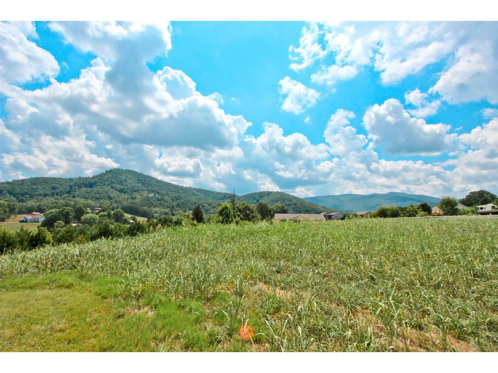 Lot 6 Amaryllis Road, Unit 6 Newport, TN 37821 - Photo 10 of 18 Photo 10
