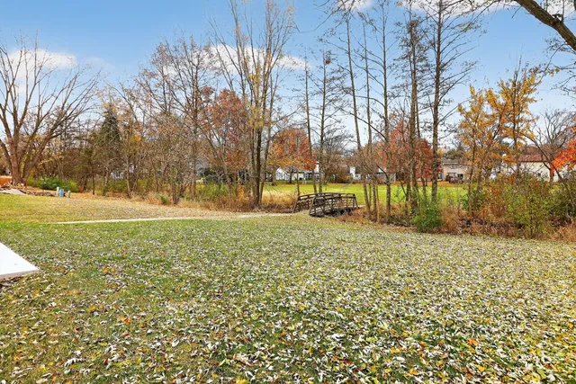 a view of a field with a tree