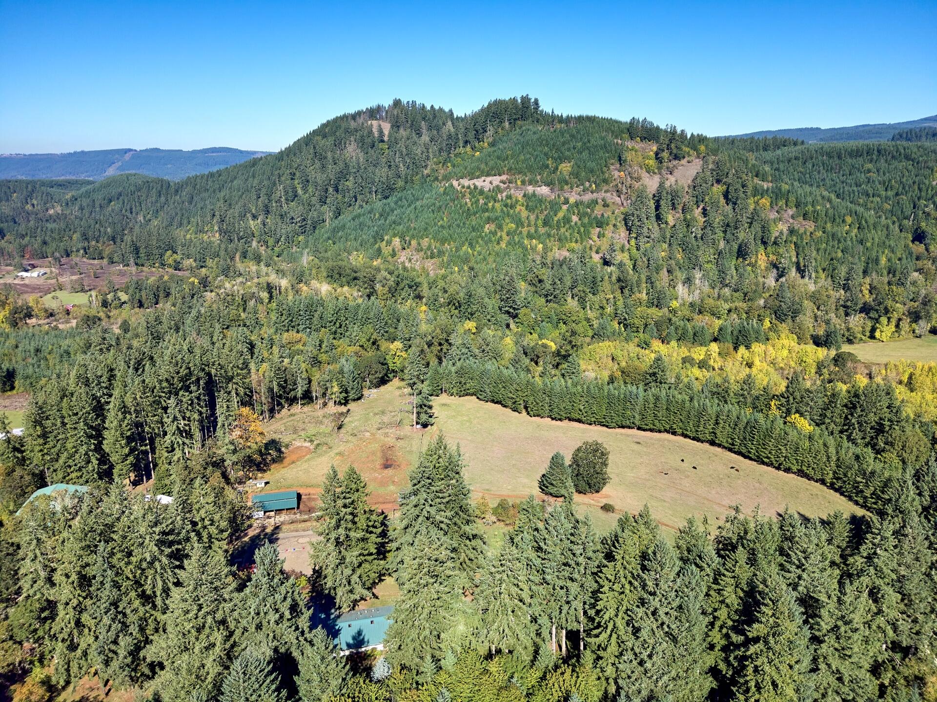 34769 East Lacomb Road Lebanon, OR 97355 - Photo 23 of 42 830_34769_Lacomb_1_web