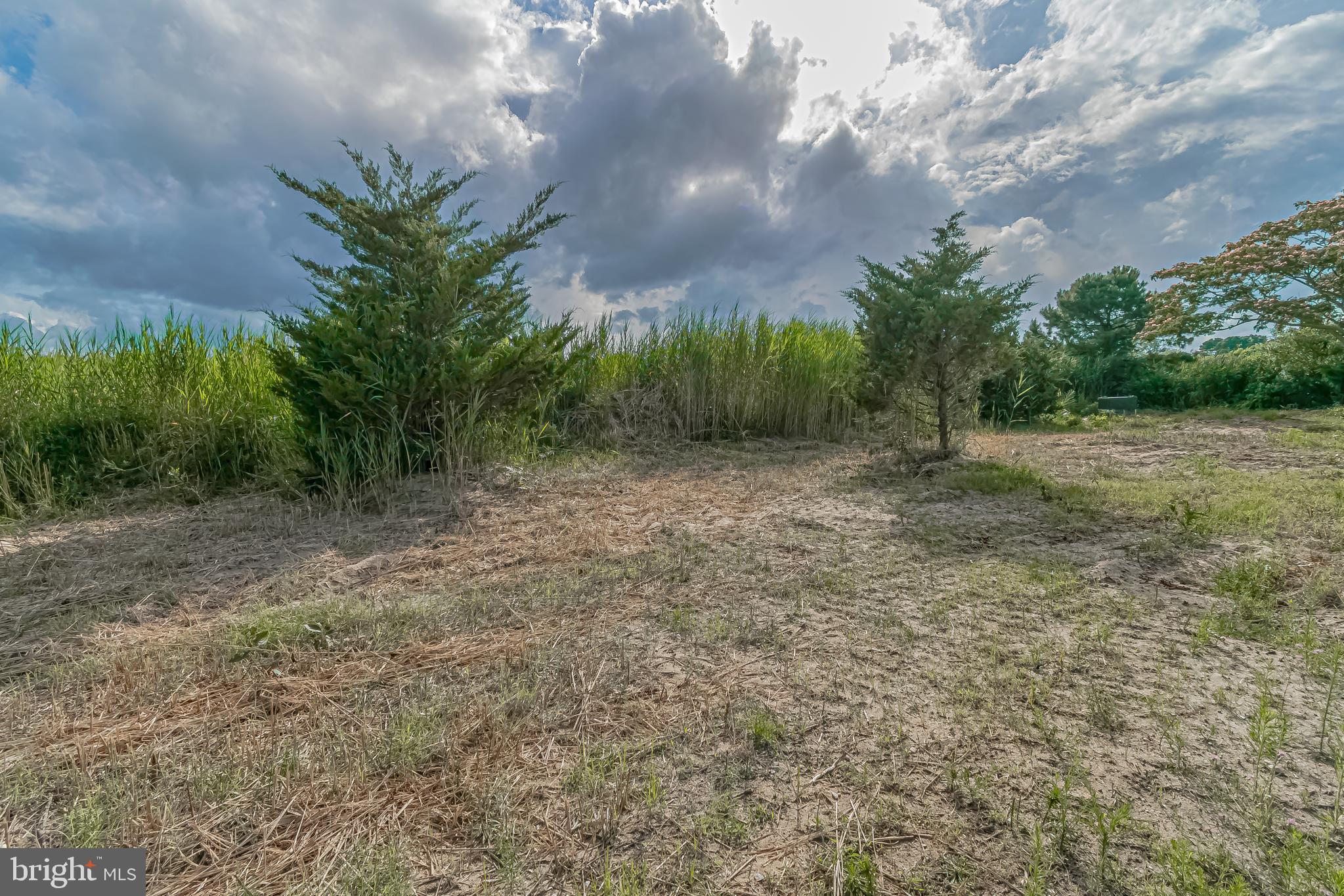 77 South Big Stone Beach Road Milford, DE 19963 - Photo 59 of 61