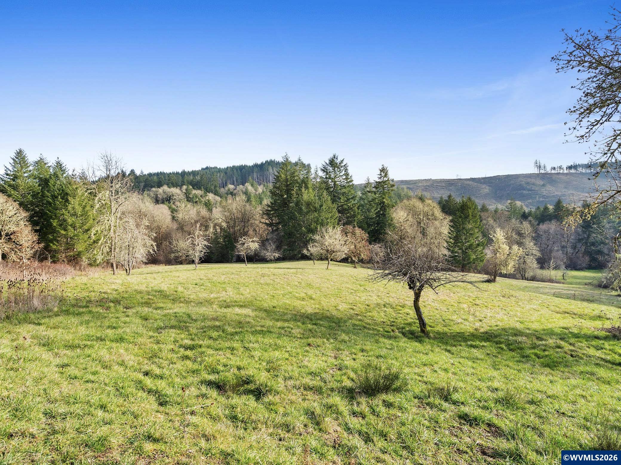 18101 Willamina Creek Road Willamina, OR 97396 - Photo 43 of 47