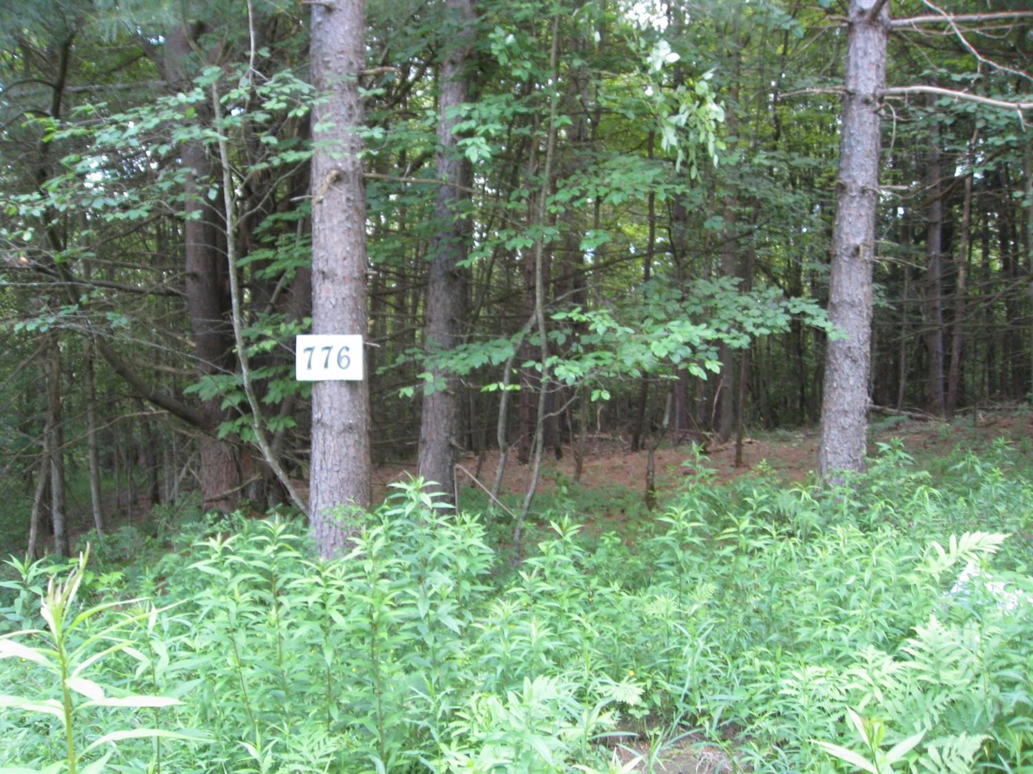 776 Hunt Road Afton, NY 13730 - Photo 1 of 1 Gallery Image 1