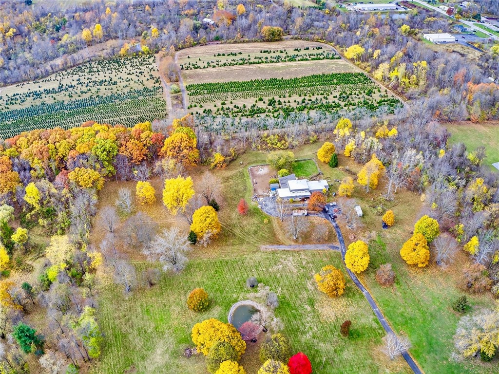 1855 North Union Street Parma, NY 14559 - Photo 3 of 49