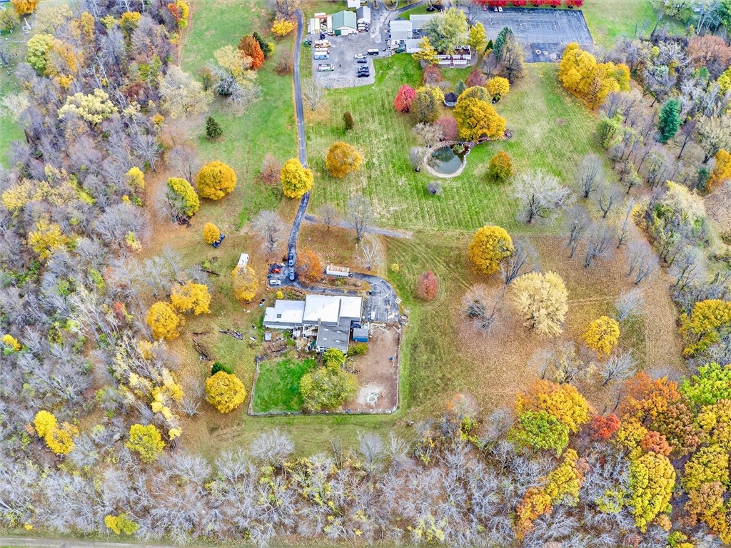 1855 North Union Street Parma, NY 14559 - Photo 4 of 49