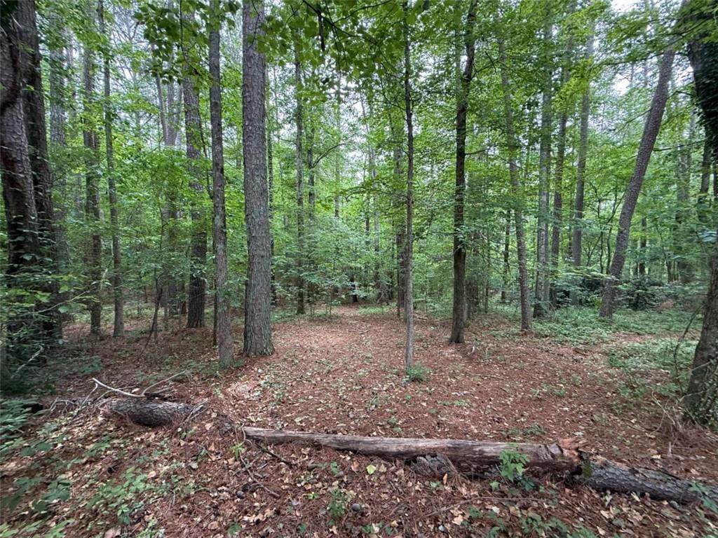 0 Bollen Drive Rome, GA 30165 - Photo 2 of 4