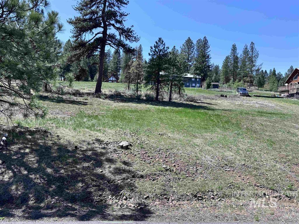 Lot 19 Hot Springs Road New Meadows, ID 83654 - Photo 25 of 28