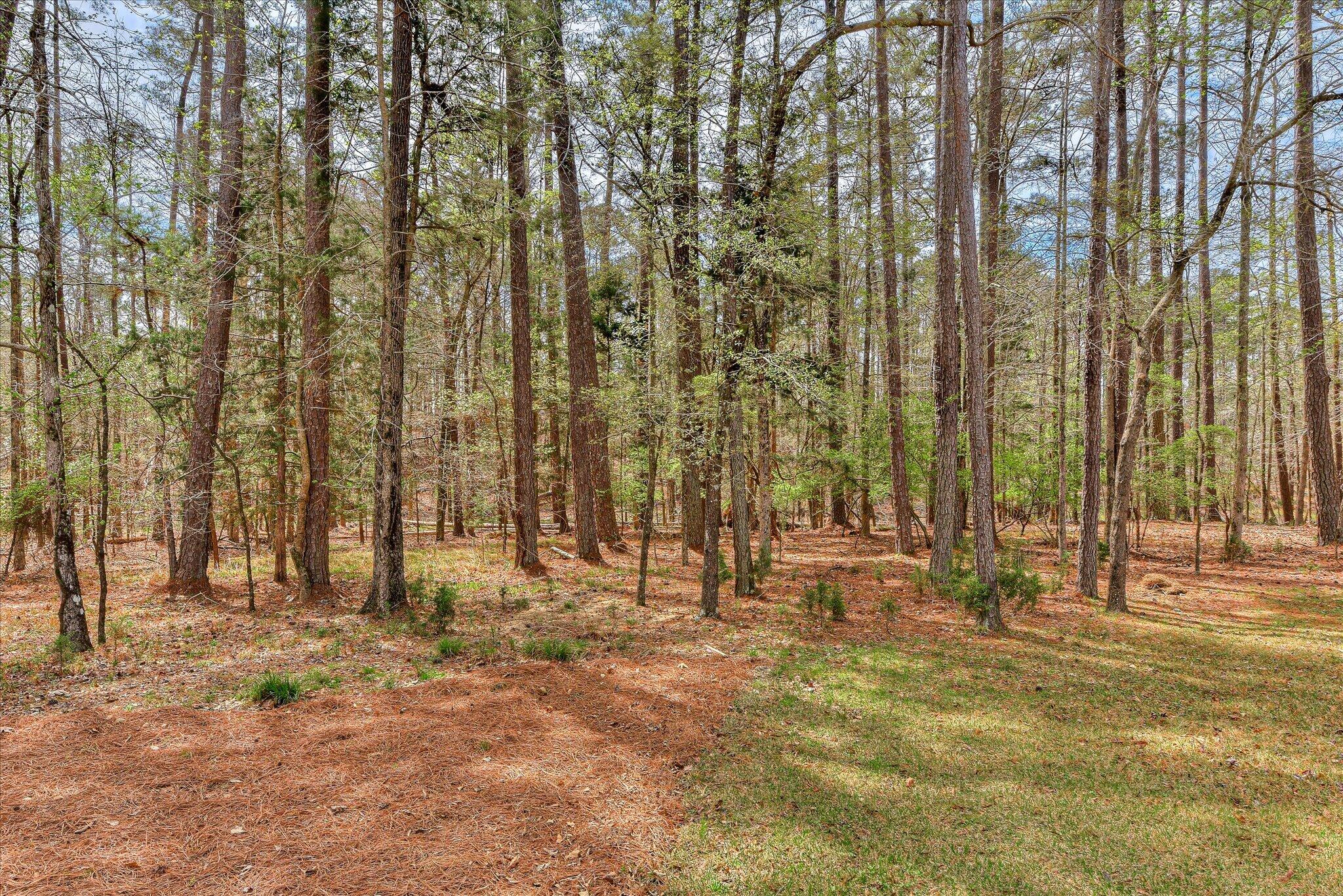 115 Rivanna Lane McCormick, SC 29835 - Photo 59 of 66 54-172