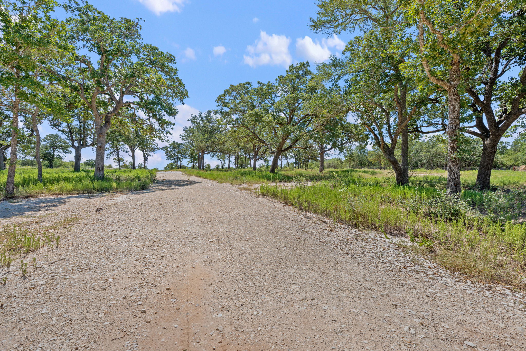 1385 Pettytown Road Dale, TX 78616 - Photo 17 of 27 View of dirt / gravel road