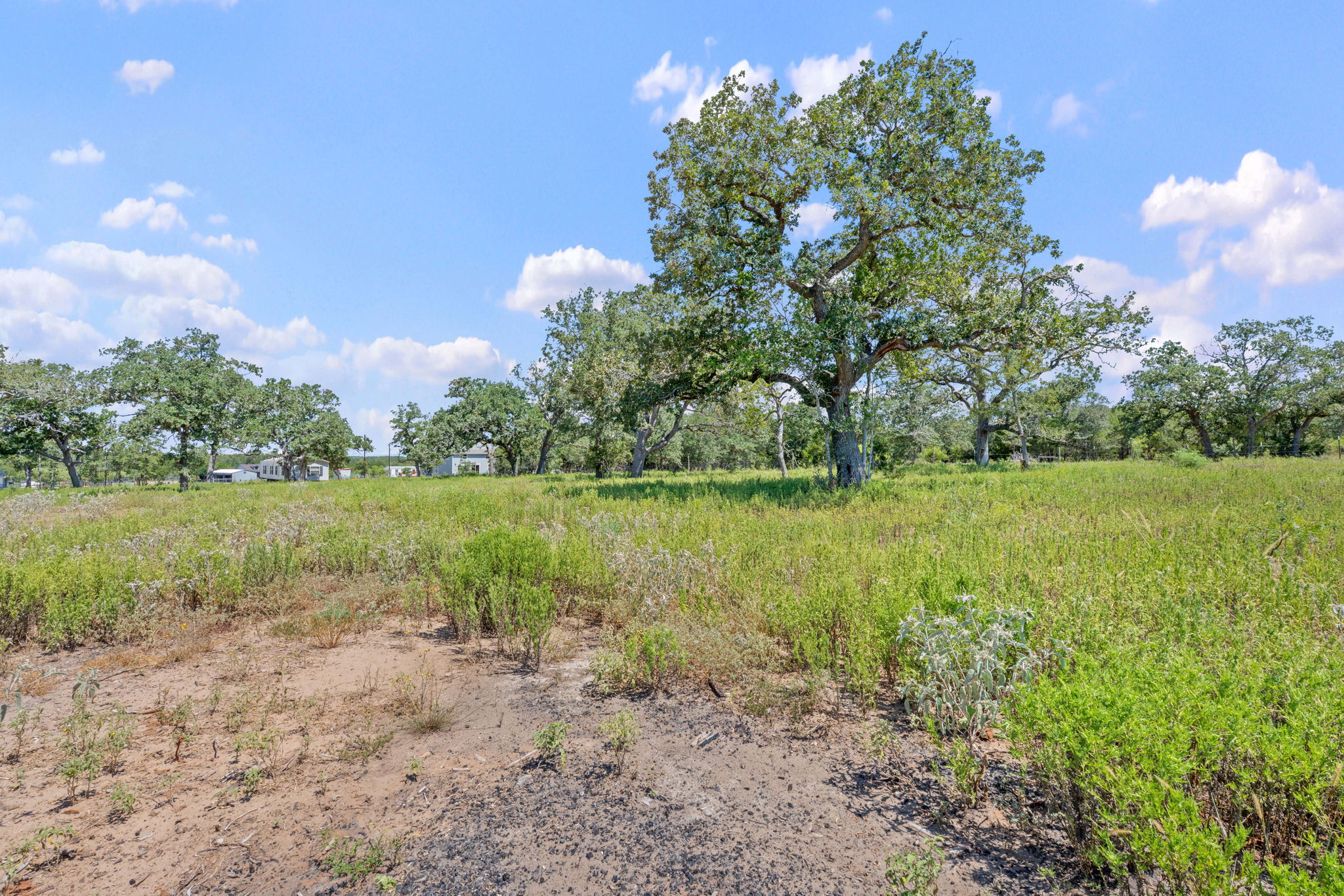 1385 Pettytown Road Dale, TX 78616 - Photo 18 of 27 View of undeveloped land featuring rural landscape