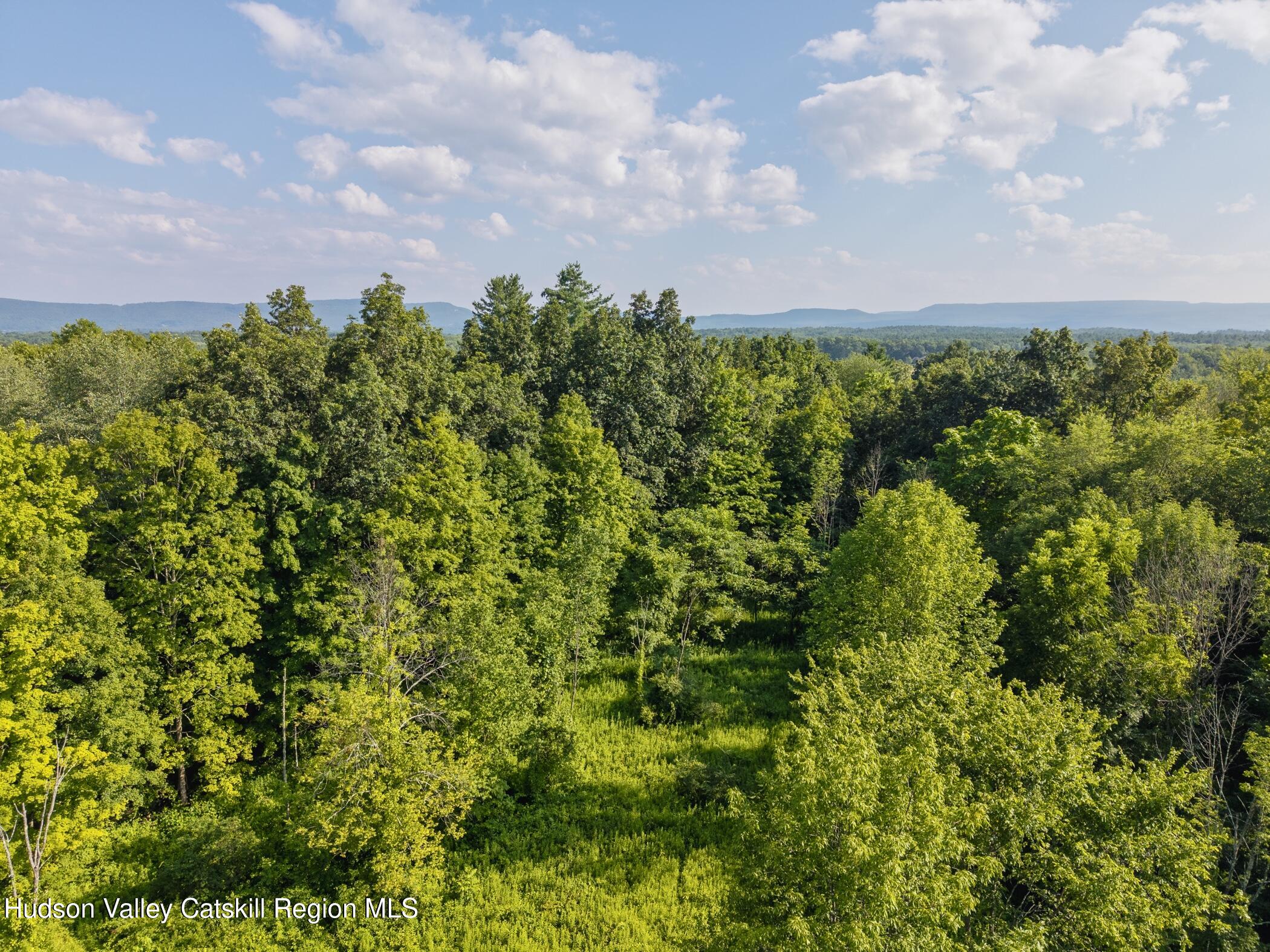 a view of a bunch of trees
