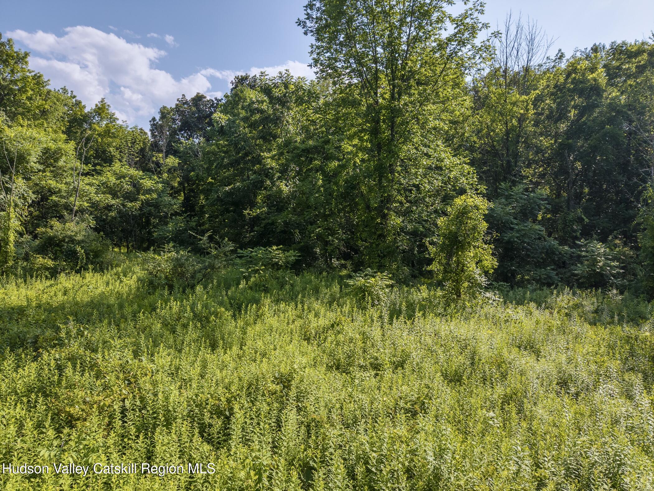 Tbd Cooper Street Stone Ridge, NY 12484 - Photo 14 of 28 a view of a garden