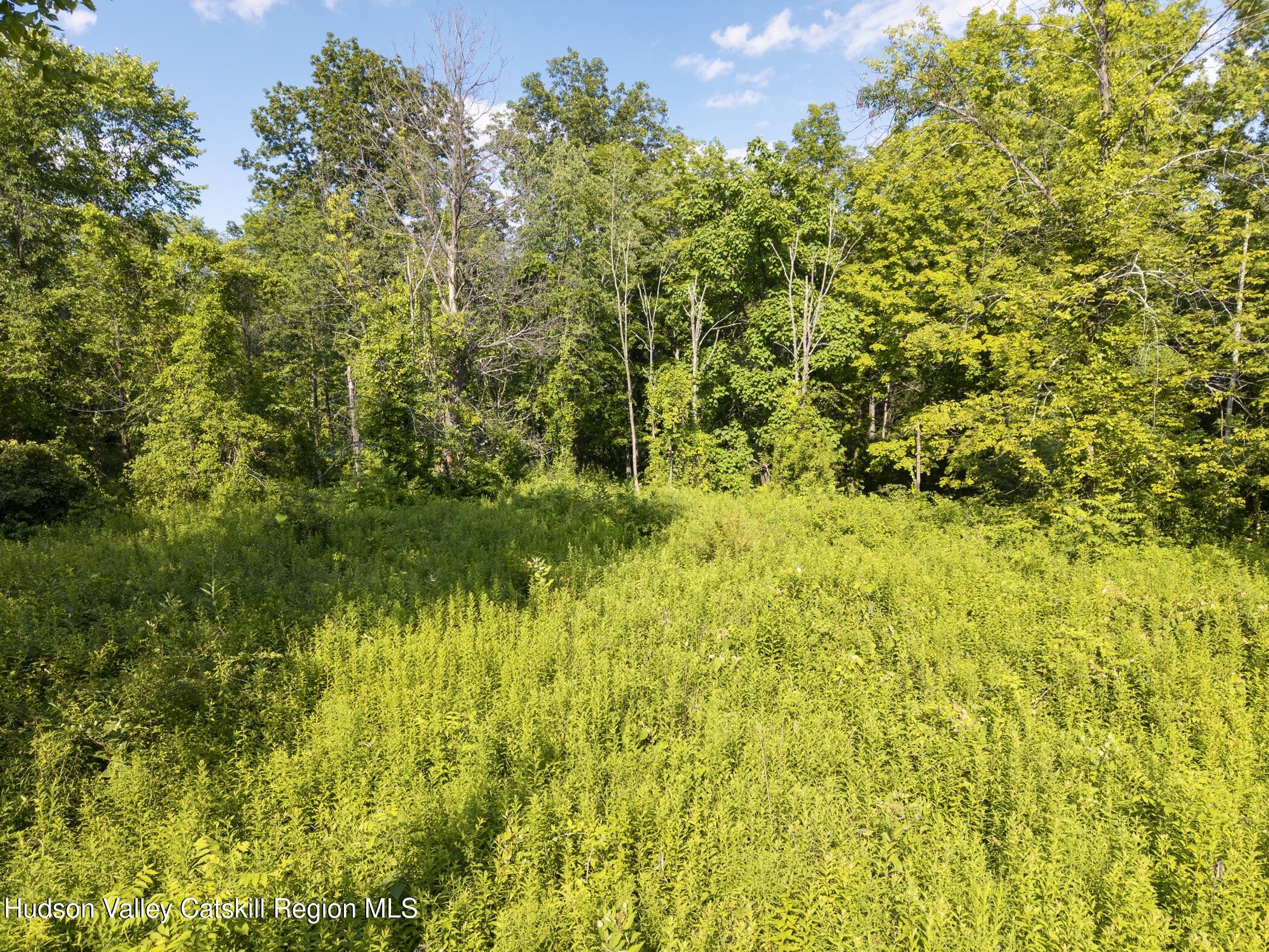 Tbd Cooper Street Stone Ridge, NY 12484 - Photo 17 of 28 a view of a garden