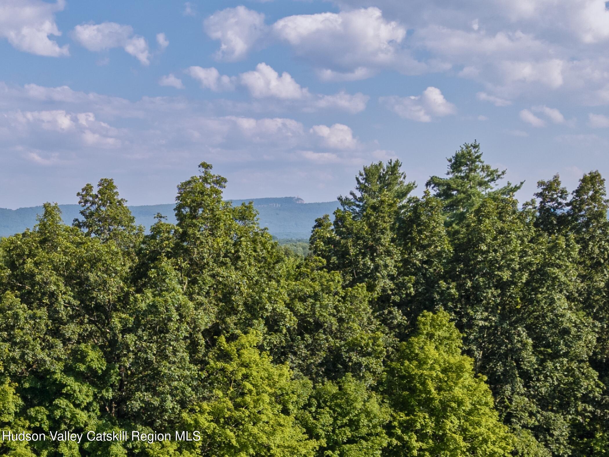Tbd Cooper Street Stone Ridge, NY 12484 - Photo 2 of 28 a view of a bunch of trees