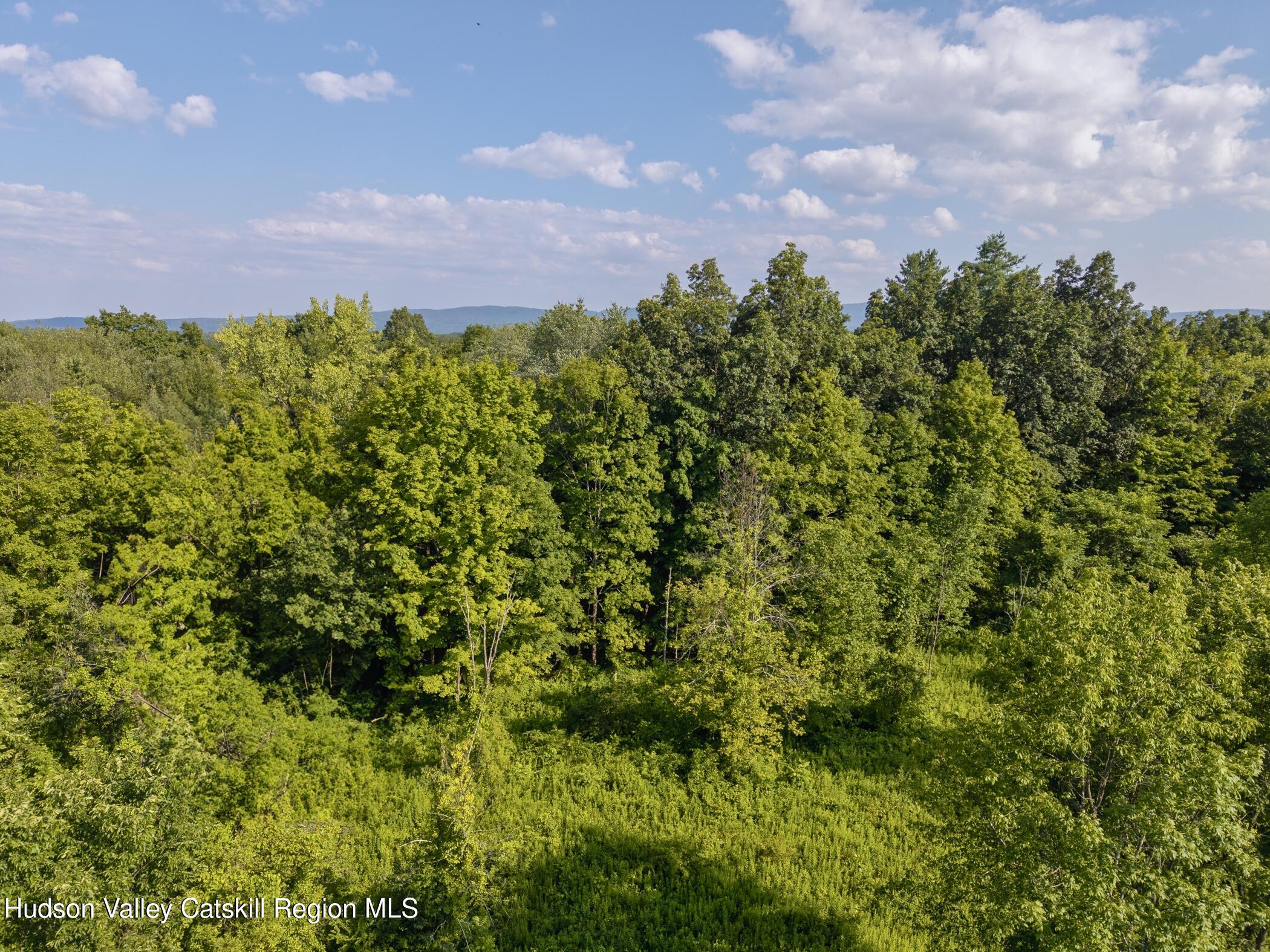 Tbd Cooper Street Stone Ridge, NY 12484 - Photo 25 of 28 a view of a multi story yard