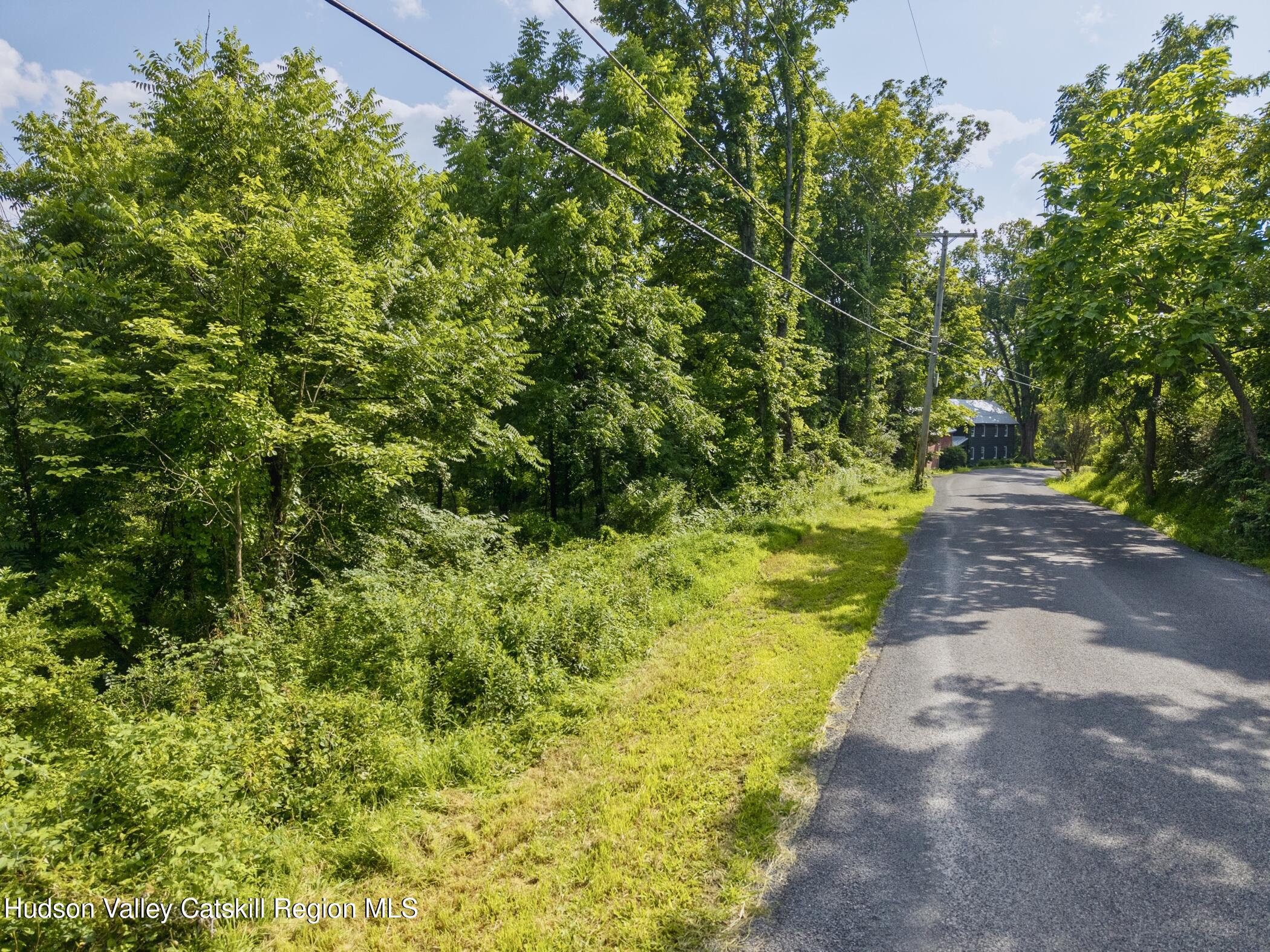 Tbd Cooper Street Stone Ridge, NY 12484 - Photo 4 of 28 a view of a yard with plants