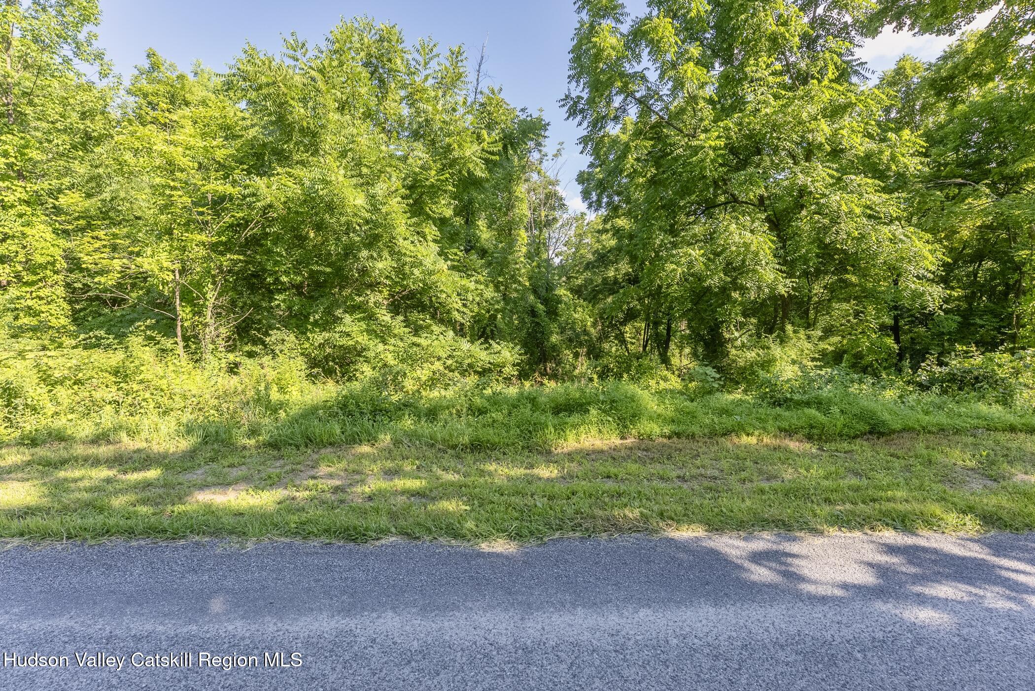 Tbd Cooper Street Stone Ridge, NY 12484 - Photo 5 of 28 a view of a yard with a tree