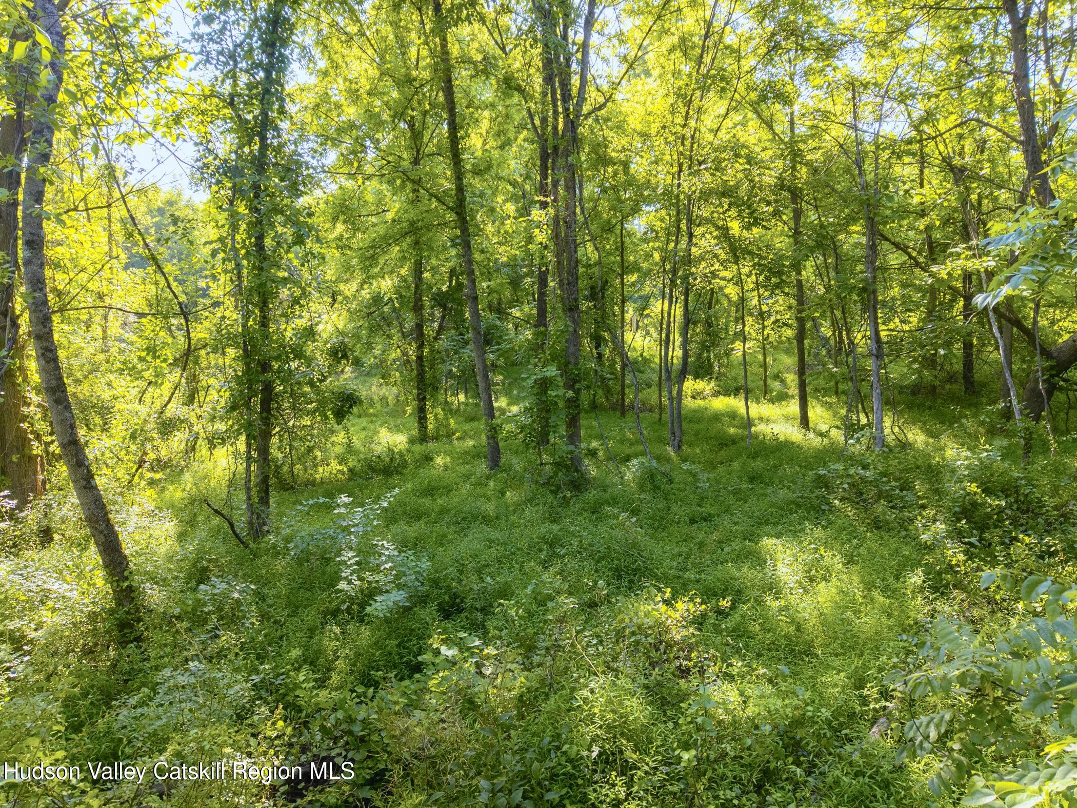 Tbd Cooper Street Stone Ridge, NY 12484 - Photo 10 of 28 a view of yard with green space and trees in the background
