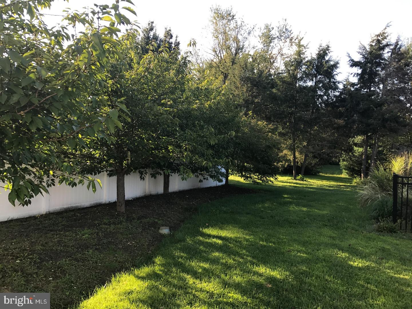 809 Castleton Drive Mickleton, NJ 08056 - Photo 4 of 24