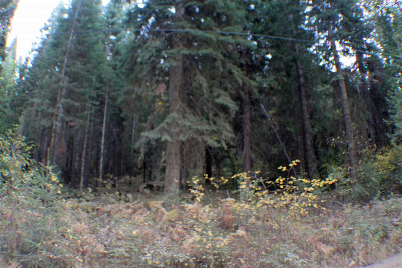 35 B Sugar Pine Road Weed, CA 96094 - Photo 3 of 9 Gallery Image 3