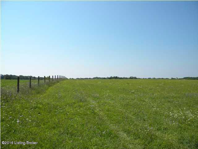 0 Aiken Road Simpsonville, KY 40067 - Photo 5 of 15 aiken3