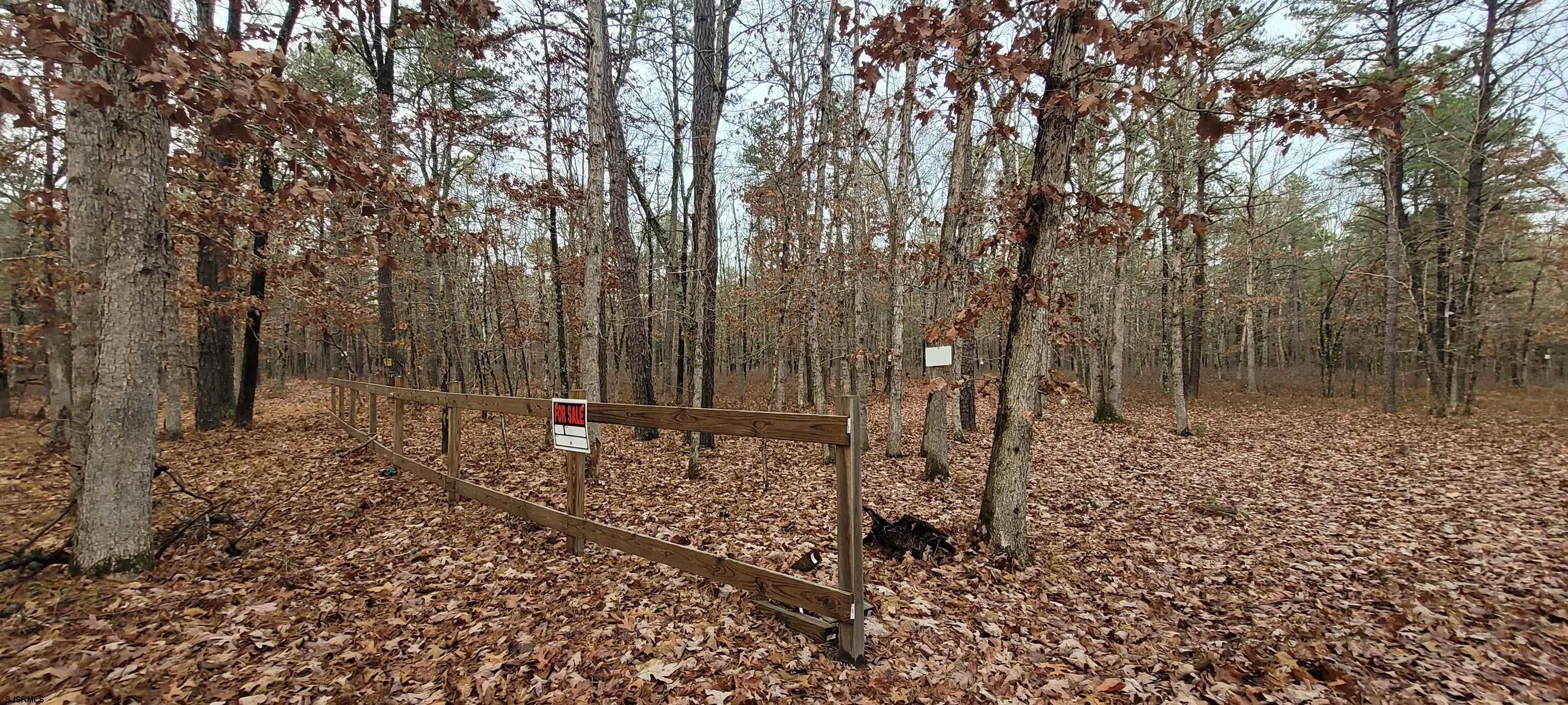 0 9th Newtonville, NJ 08346 - Photo 2 of 2 a view of outdoor space with lots of trees