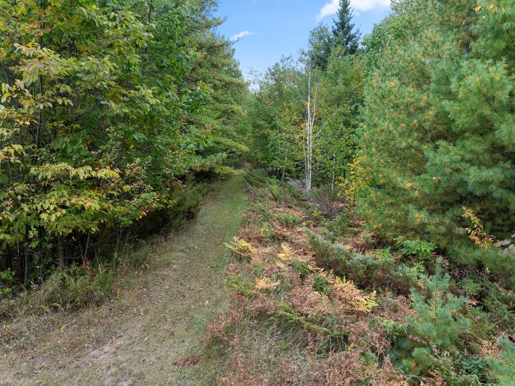 12462 Timberline Road Ellison Bay, WI 54210 - Photo 65 of 66