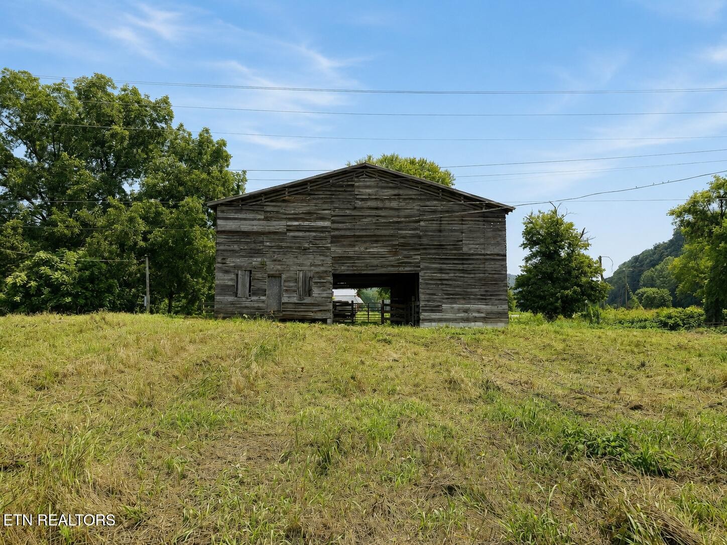 253 Highway 107 Del Rio, TN 37727 - Photo 10 of 24 Gallery Image 10