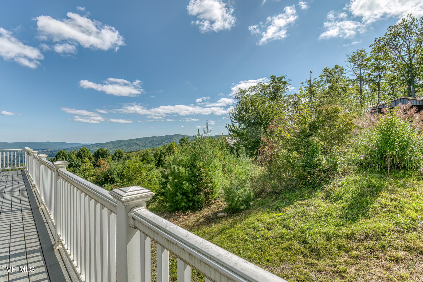 384 Cross Mountain Road Shady Valley, TN 37688 - Photo 12 of 80 384 Cross Mountain Drive-14