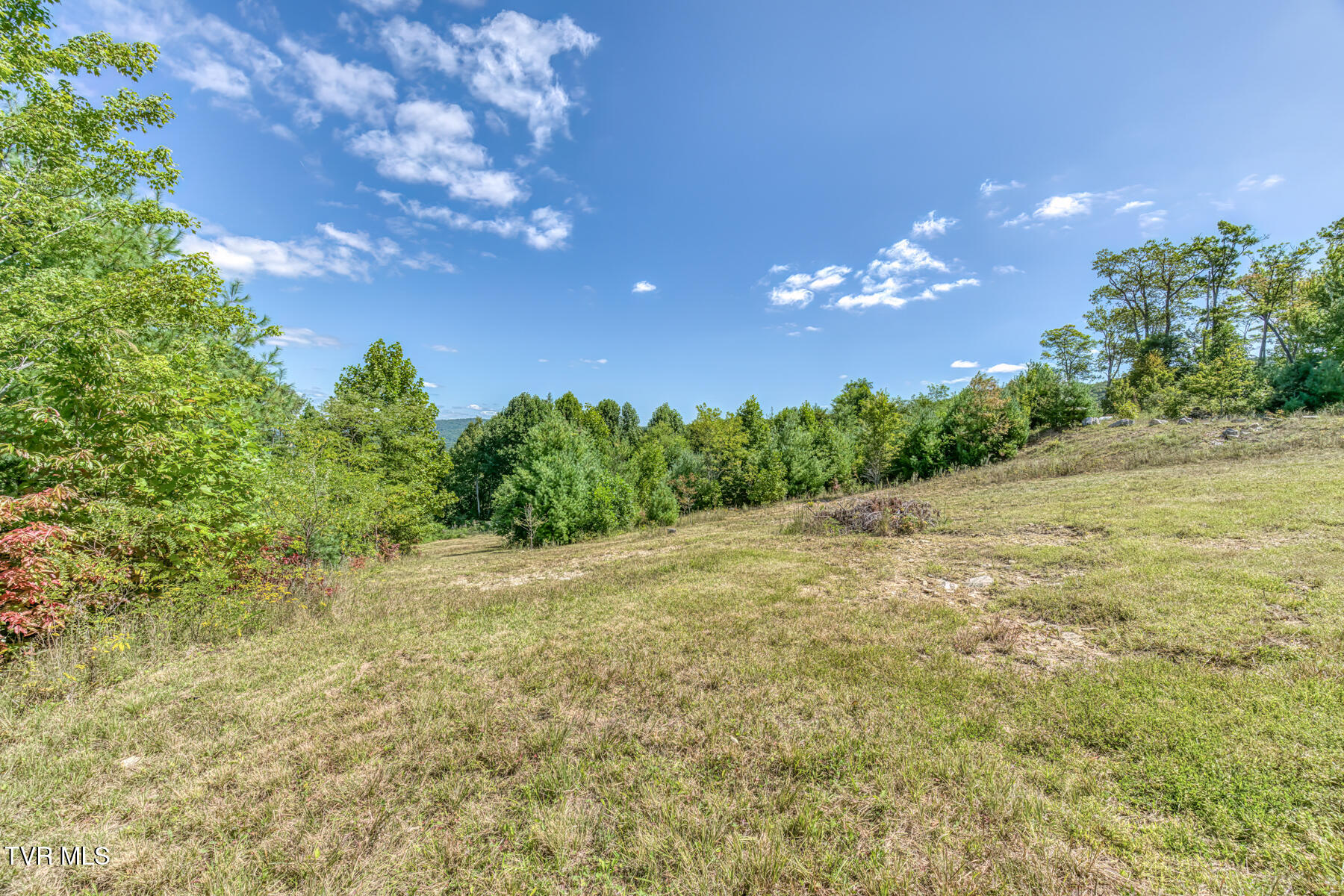 384 Cross Mountain Road Shady Valley, TN 37688 - Photo 74 of 80 384 Cross Mountain Drive-81