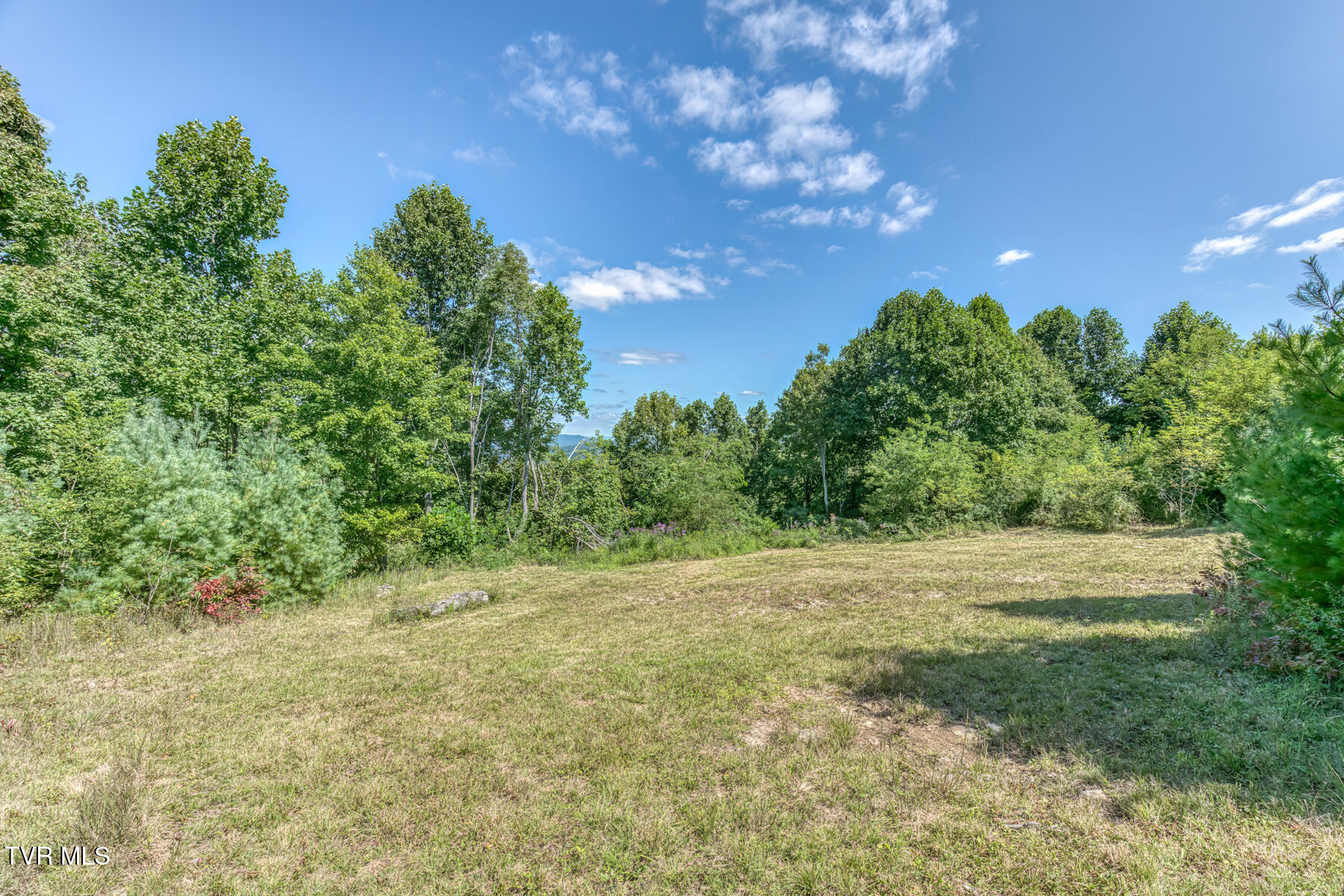 384 Cross Mountain Road Shady Valley, TN 37688 - Photo 75 of 80 384 Cross Mountain Drive-82