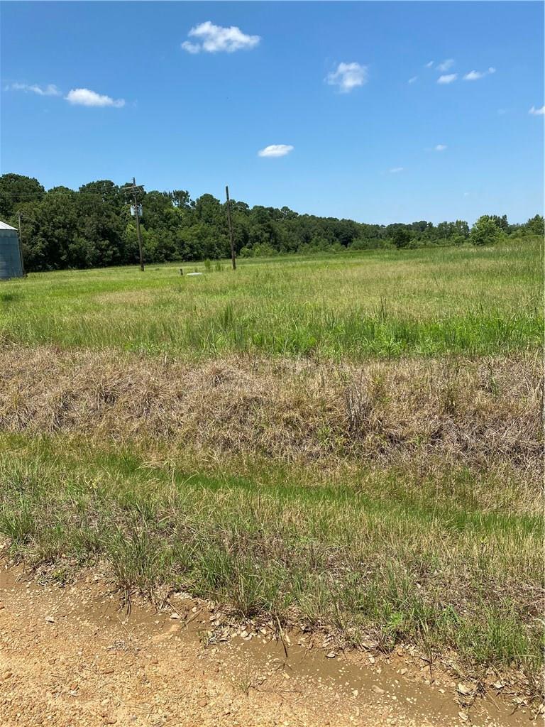 Tbd Bellard Road Welsh, LA 70591 - Photo 2 of 2