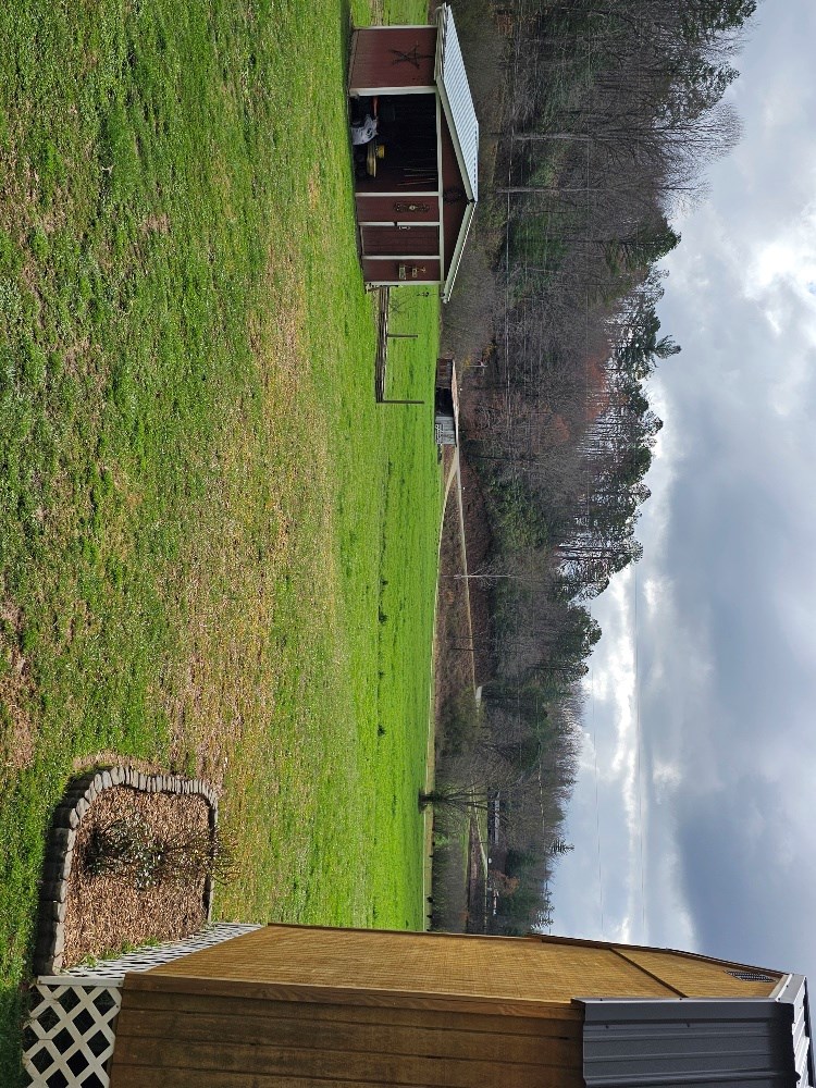1393 Bluff Road Marble, NC 28905 - Photo 3 of 46