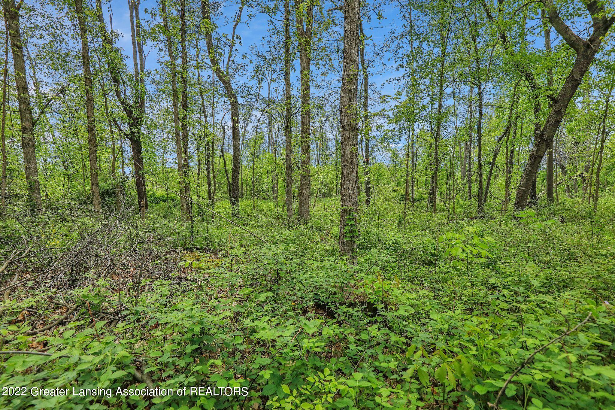 3020 Stillson Road Stockbridge, MI 49285 - Photo 7 of 51 5