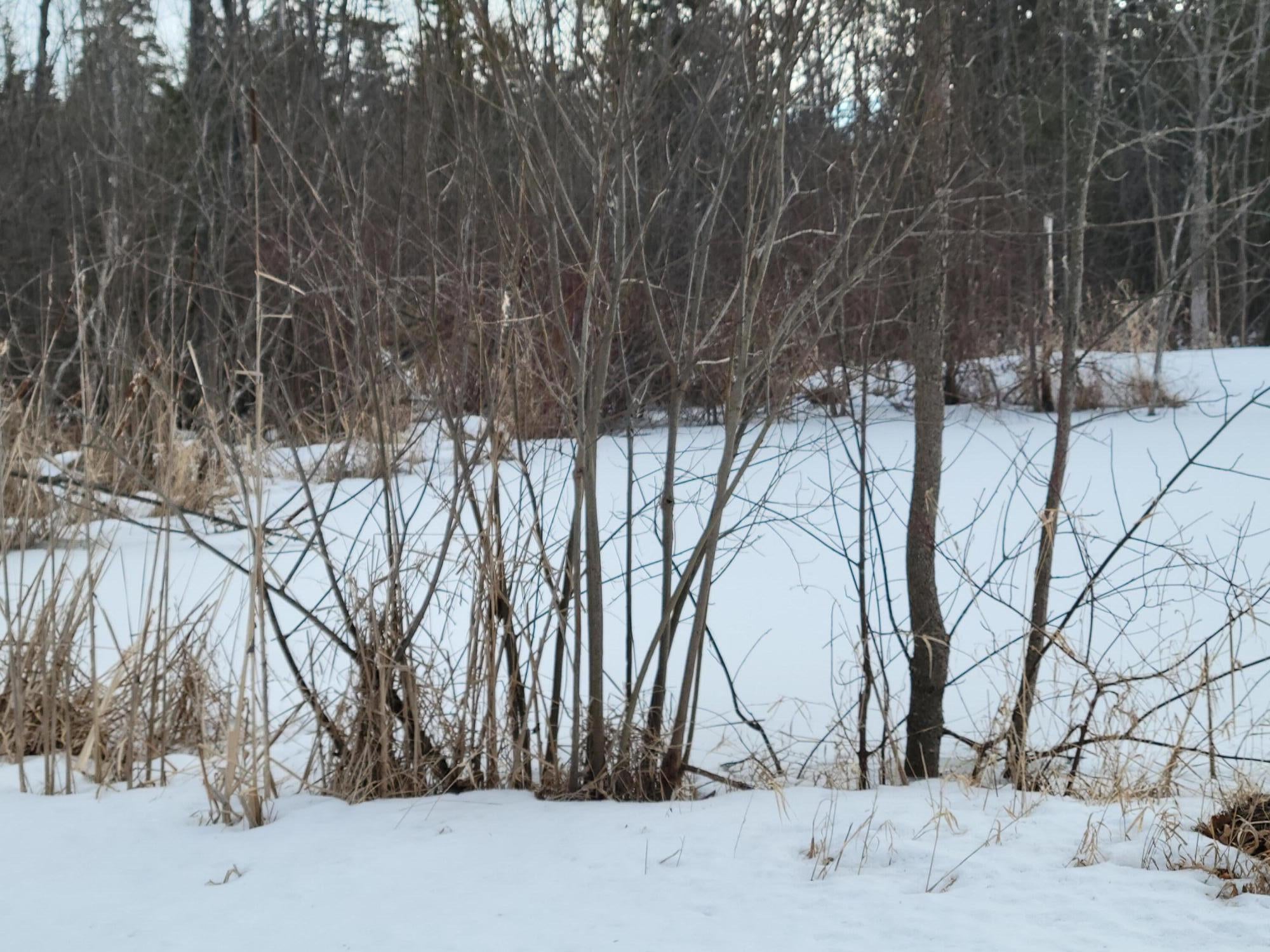 7468 West Long Lake Road Alpena, MI 49707 - Photo 12 of 19 Gallery Image 12