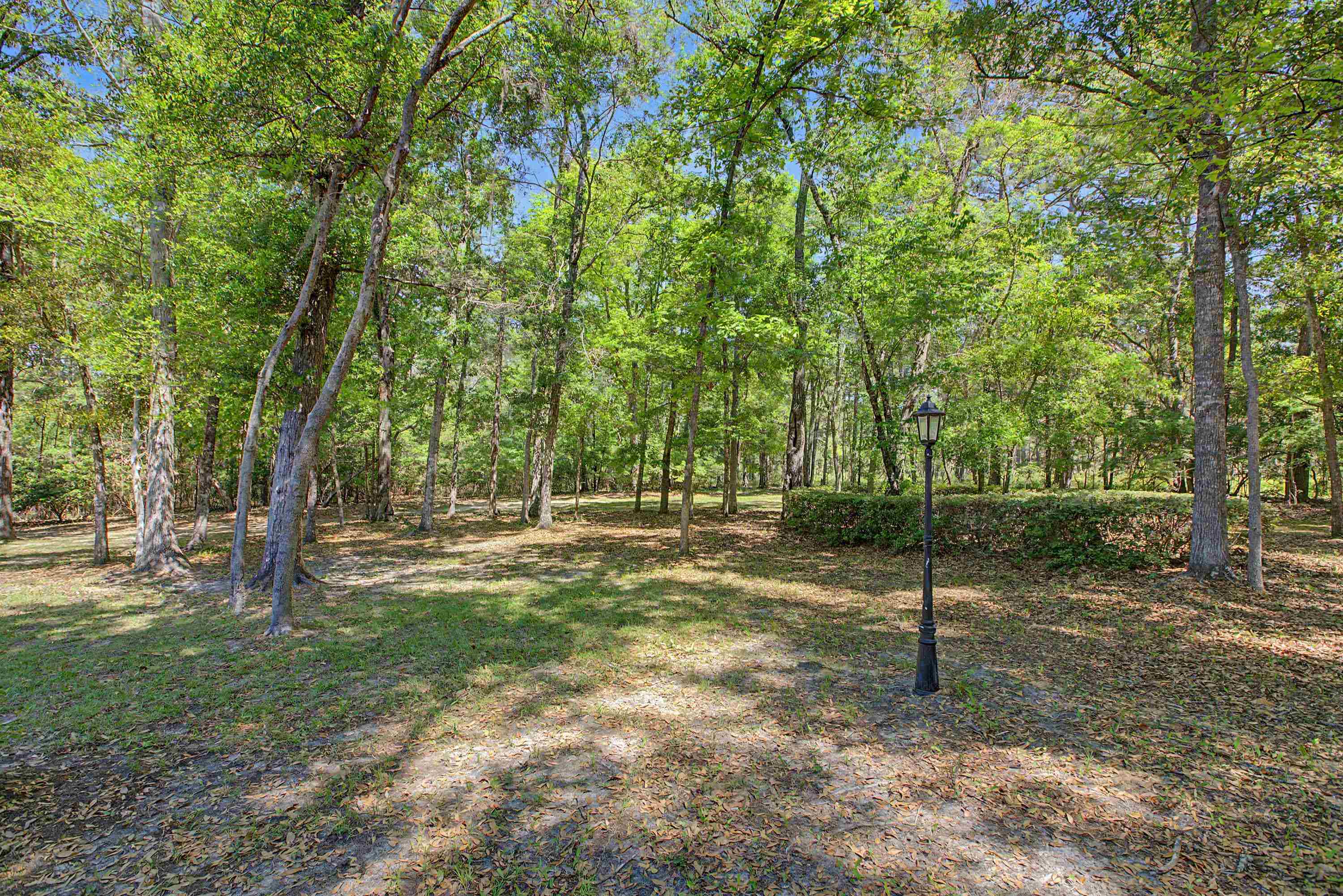 6937 Grenville Road Tallahassee, FL 32309 - Photo 53 of 66