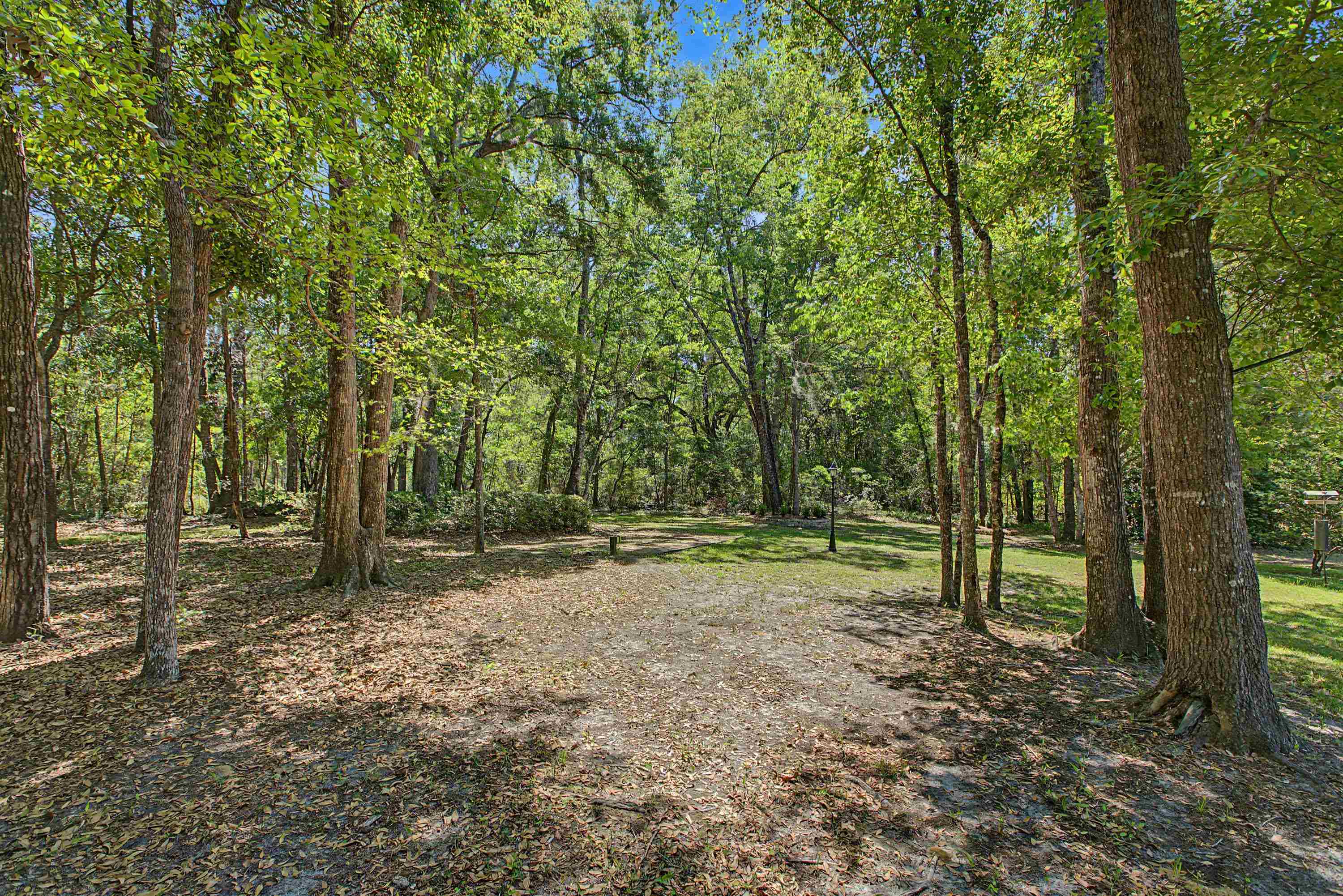 6937 Grenville Road Tallahassee, FL 32309 - Photo 54 of 66