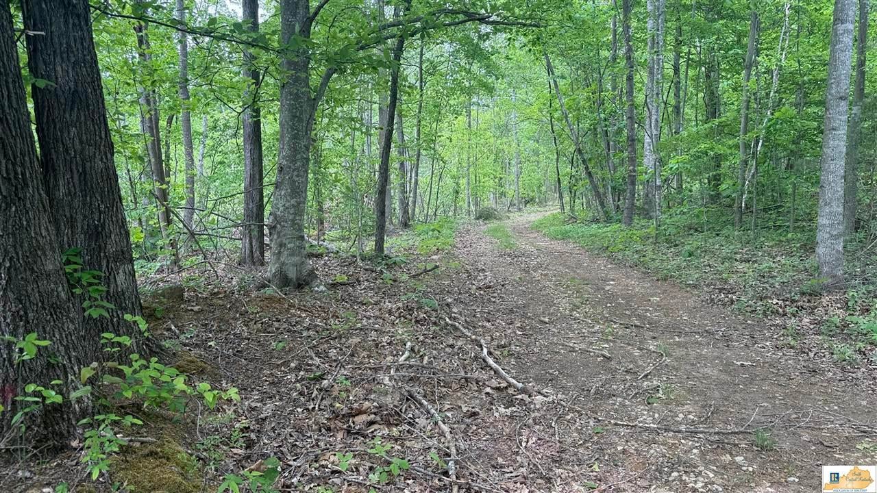 0 Black Beard Road Edmonton, KY 42129 - Photo 23 of 44 Gallery Image 23