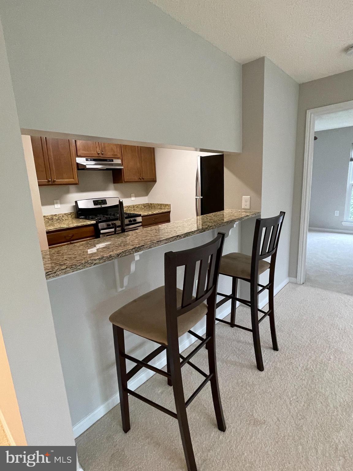 21023 Timber Ridge Terrace, Unit 204 Ashburn, VA 20147 - Photo 14 of 37 Kitchen with breakfast bar