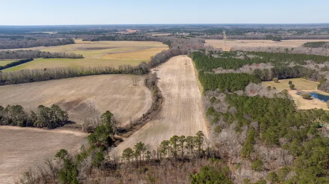 $795,000 | 176 Po Chance Drive, Vance, SC 29163