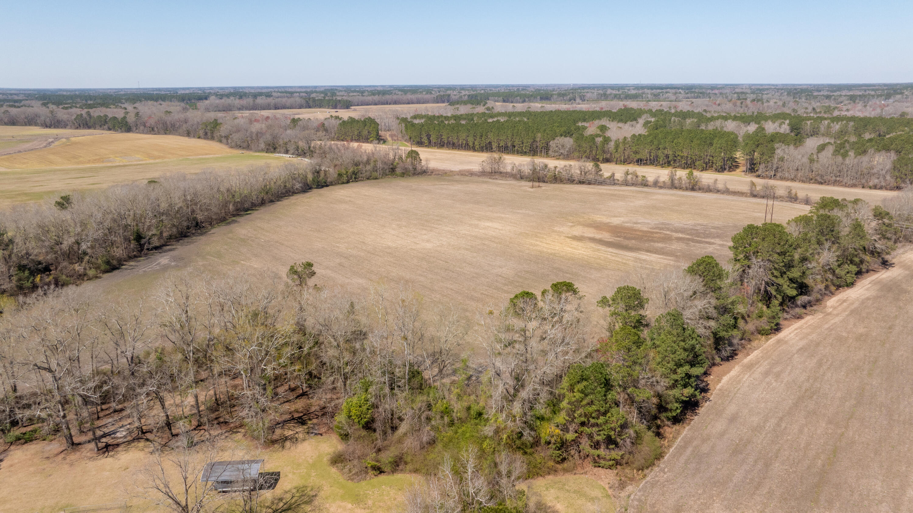 176 Po Chance Drive Vance, SC 29163 - Photo 7 of 13 176PoChanceDr.NicoleBurbagePhoto-1