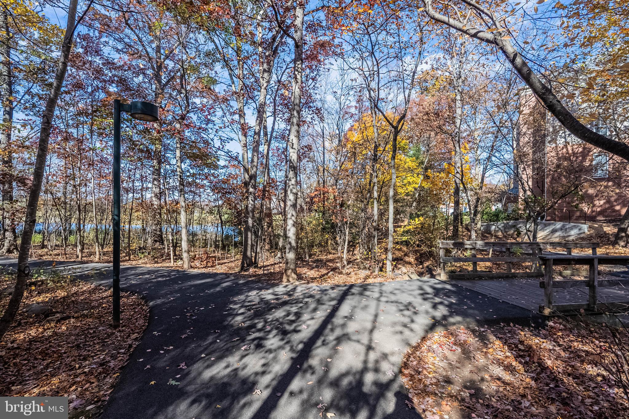 1919 Logan Manor Drive Reston, VA 20190 - Photo 53 of 57 a view of outdoor space with lots of trees