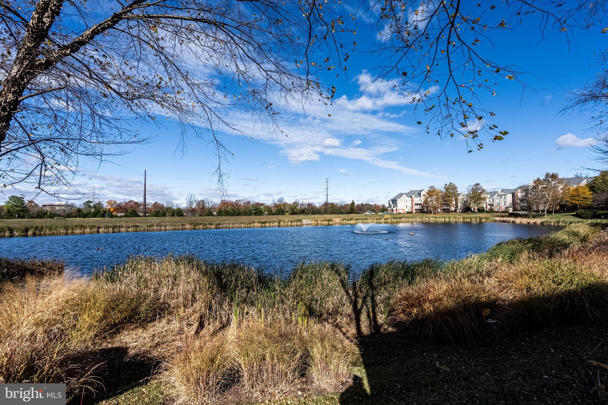 1919 Logan Manor Drive Reston, VA 20190 - Photo 54 of 57 a view of a lake in middle of the house