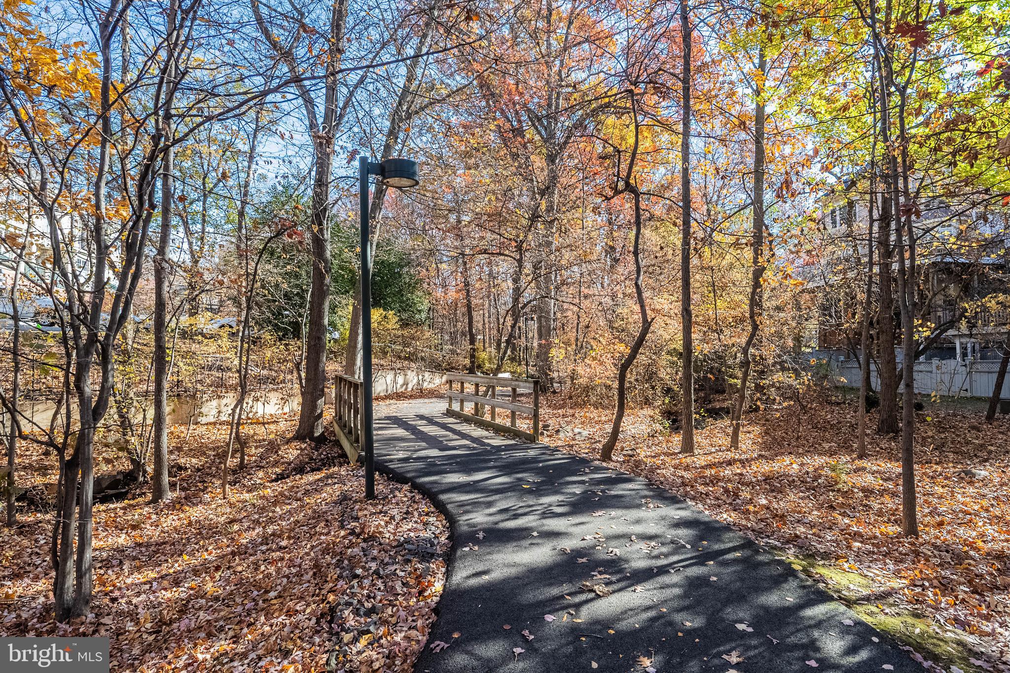 1919 Logan Manor Drive Reston, VA 20190 - Photo 56 of 57 a view of a forest filled with trees