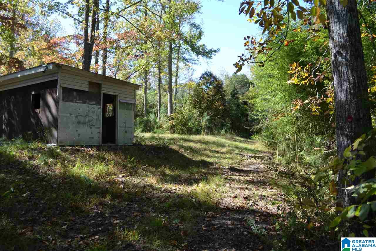 17871 Highway 75, Unit 5 7 ACRES Remlap, AL 35133 - Photo 17 of 23
