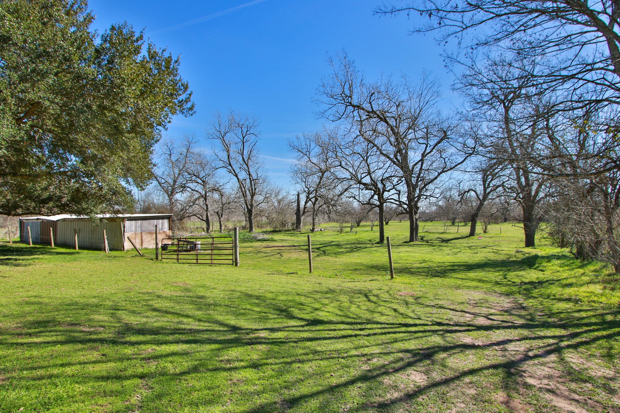 7610 Moore Road Pattison, TX 77423 - Photo 34 of 40 a view of a big yard with wooden fence