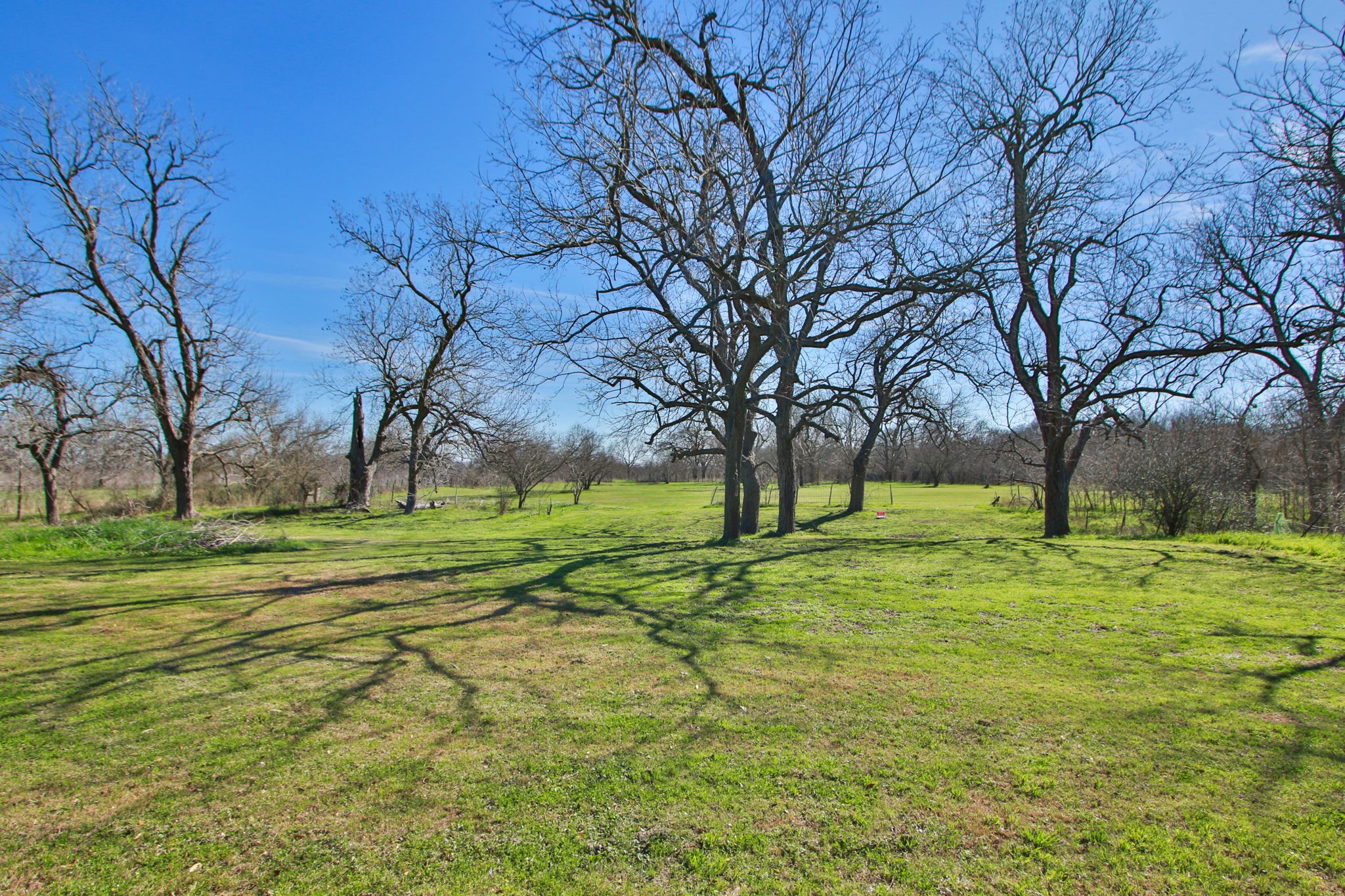 7610 Moore Road Pattison, TX 77423 - Photo 35 of 40 a view of field with trees
