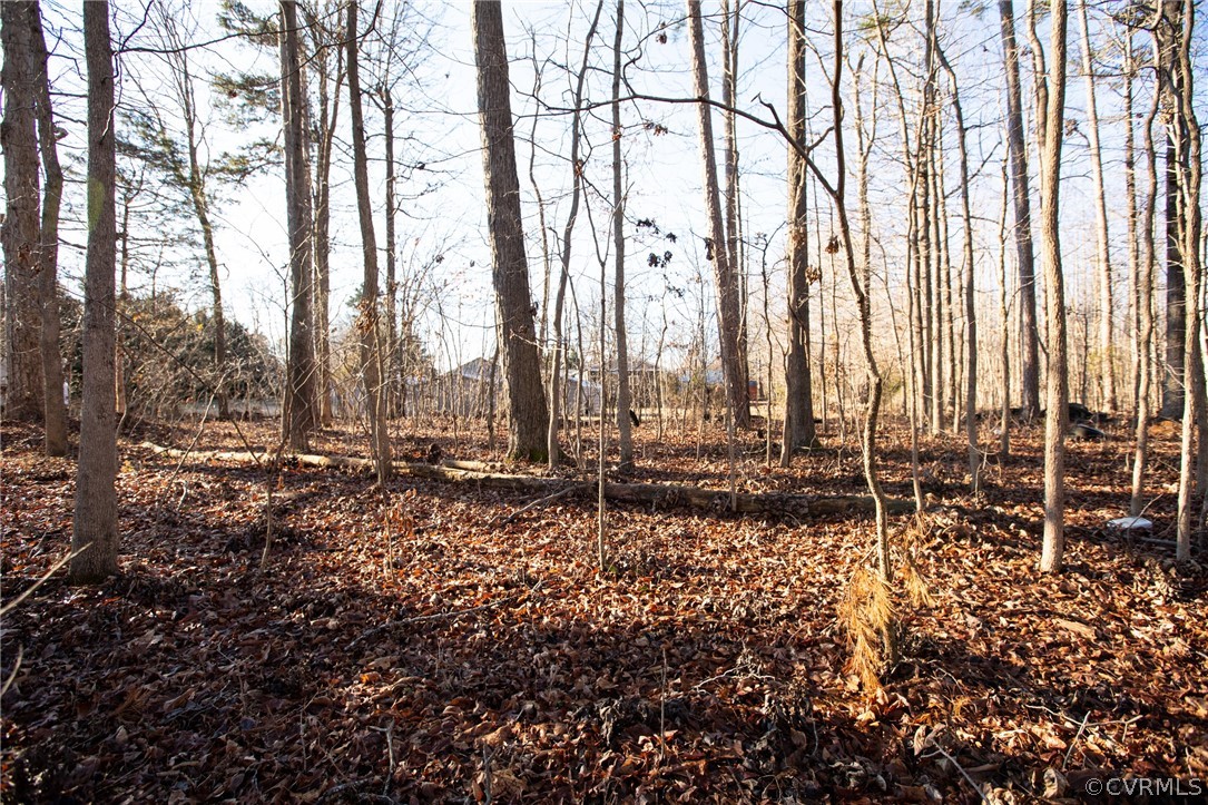 2625 Turkey Island Road Crewe, VA 23930 - Photo 44 of 45 a view of large trees