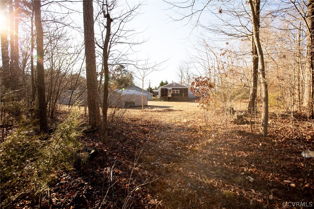 2625 Turkey Island Road Crewe, VA 23930 - Photo 45 of 45 a view of a yard with plants and trees